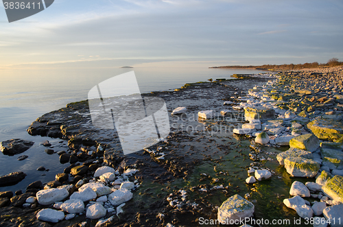 Image of Evening light colors by a flat rock coast