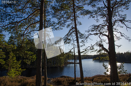 Image of Small lake in the woods