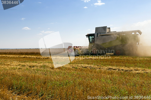 Image of Harvester in the field  