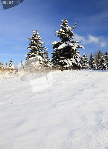 Image of winter season, the snow 