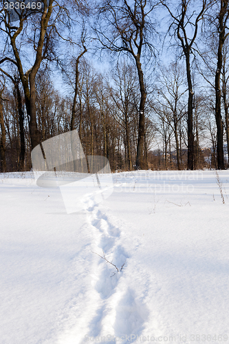 Image of path in the snow 