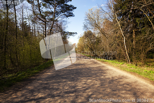 Image of Spring road, countryside  