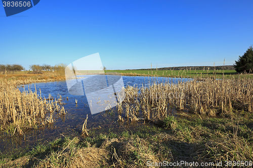 Image of small lake ,  summer 