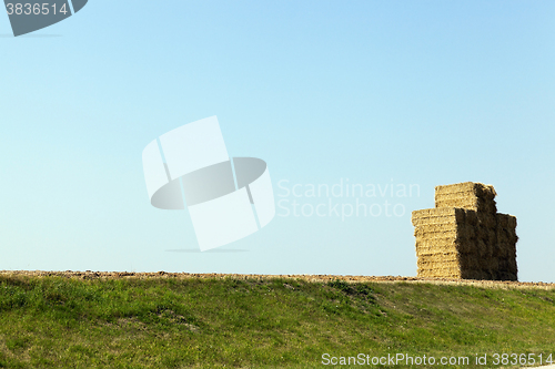 Image of Stack of straw, wheat  