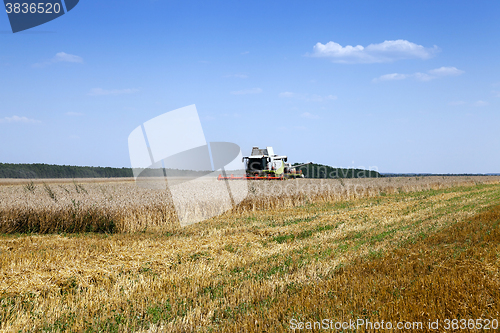 Image of Harvester in the field  