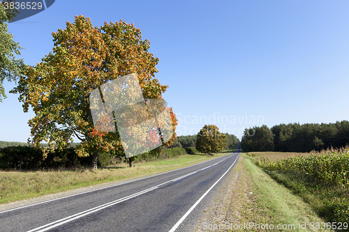 Image of   road , autumn season