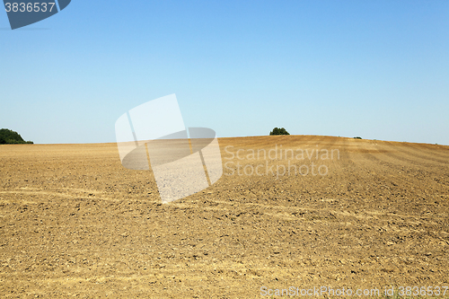 Image of plowed agricultural field 