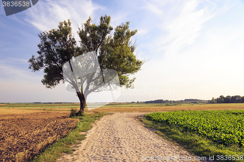 Image of Spring road , countryside  