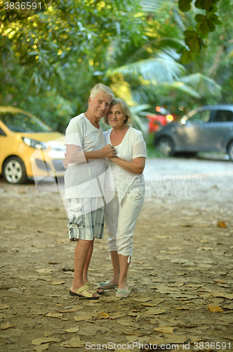 Image of elderly couple rest at tropical resort
