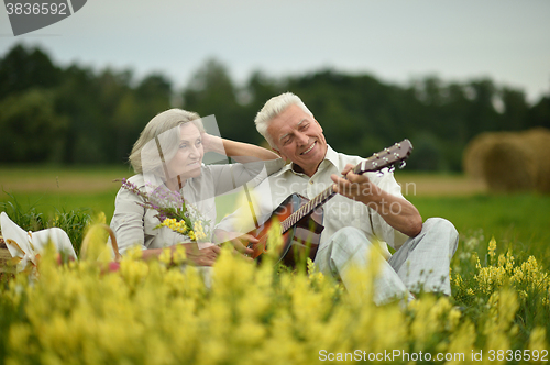 Image of Senior couple with guitar at summer field