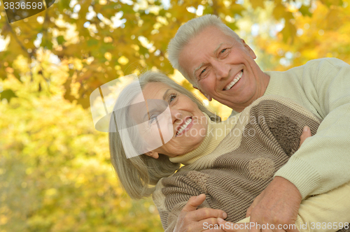 Image of Senior couple in autumn park