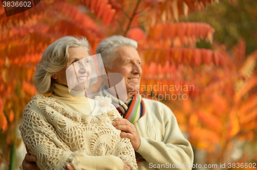 Image of Senior couple in autumn park