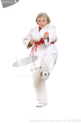 Image of Senior woman in karate pose