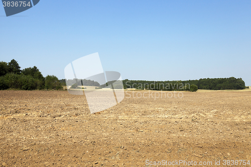 Image of plowed agricultural field 