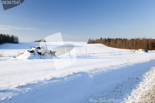 Image of snow covered field  