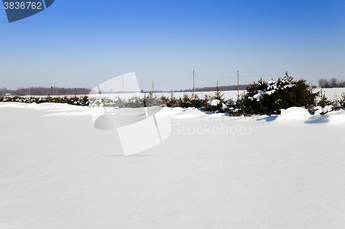 Image of snow covered field  