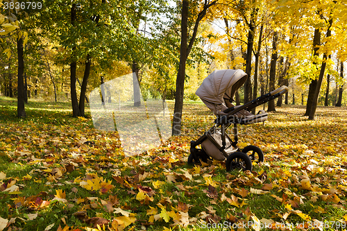 Image of stroller   in autumn season