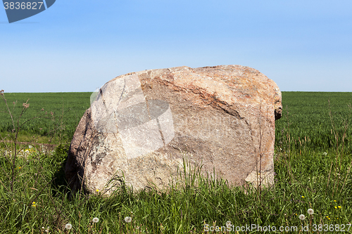 Image of stone in the grass  