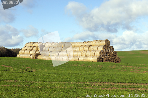 Image of haystacks piled straw  
