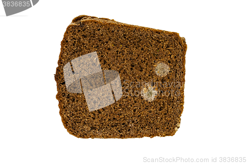 Image of mold on bread  