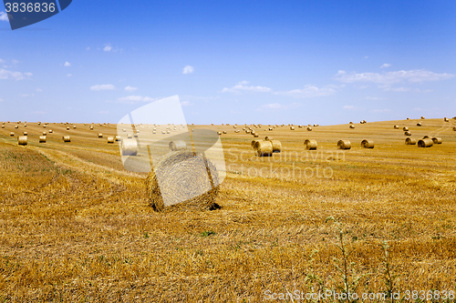 Image of stack of straw in the field 