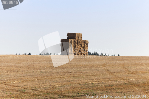 Image of square stack straw  