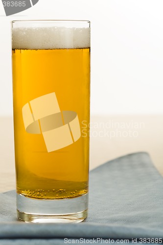 Image of Beer