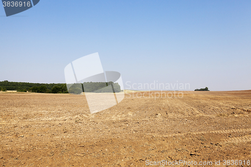 Image of plowed agricultural field 