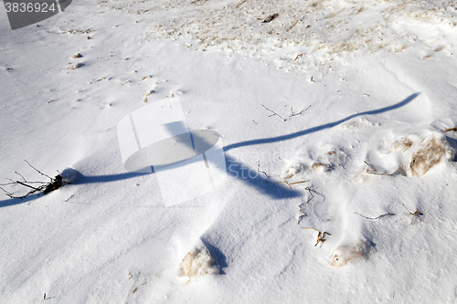 Image of winter season, the snow 