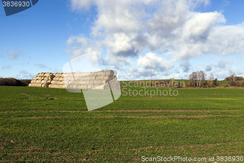 Image of haystacks piled straw  
