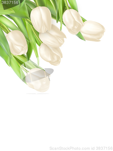 Image of Tulips decorative background. EPS 10