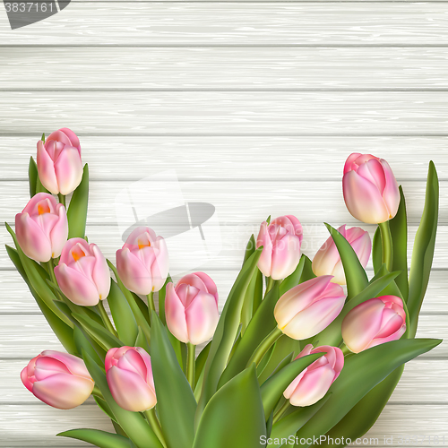 Image of Pink fresh tulips flowers. EPS 10