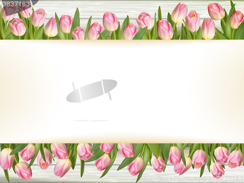 Image of Pink tulips with space for text. EPS 10