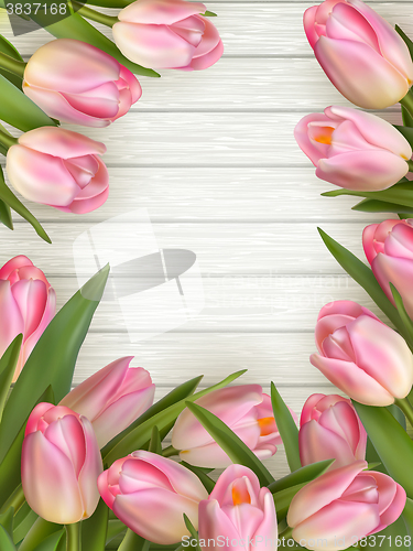 Image of Fresh pink tulips. EPS 10 