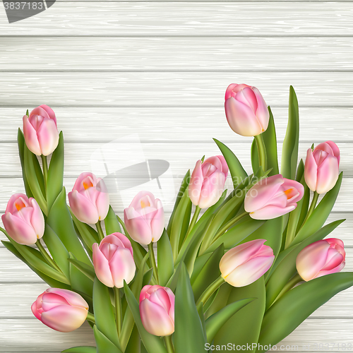 Image of Bunch of fresh spring pink. EPS 10