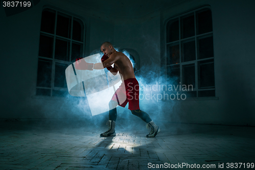 Image of The young man kickboxing in blue smoke