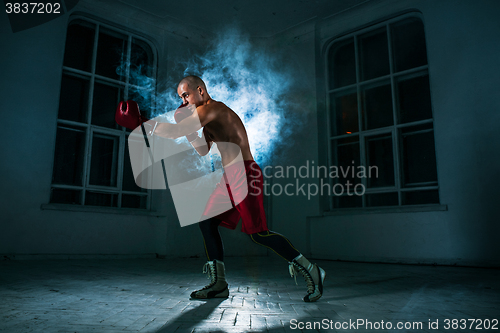 Image of The young man kickboxing in blue smoke