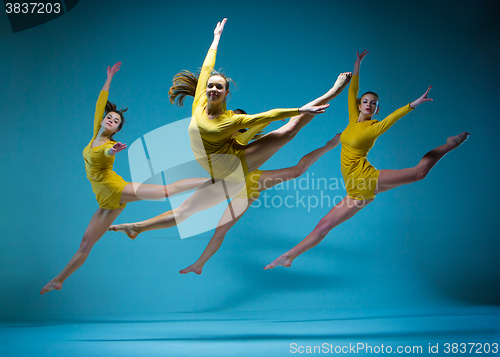 Image of The modern ballet dancers 