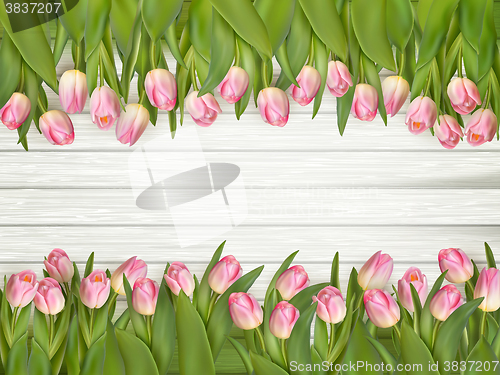 Image of Pink tulips with space for text. EPS 10