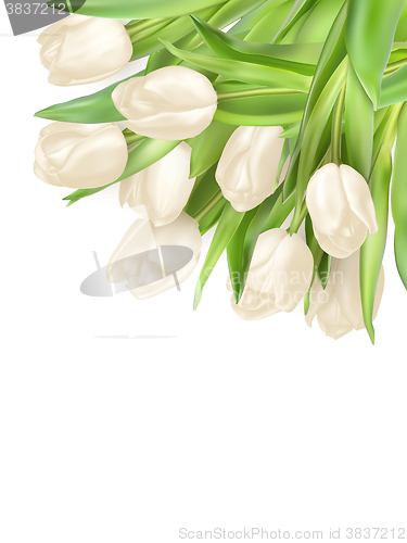 Image of Tulips decorative background. EPS 10