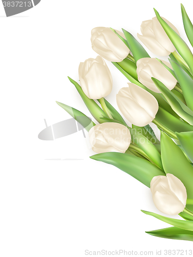 Image of Tulips decorative background. EPS 10