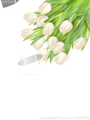Image of Isolated tulip frame. EPS 10