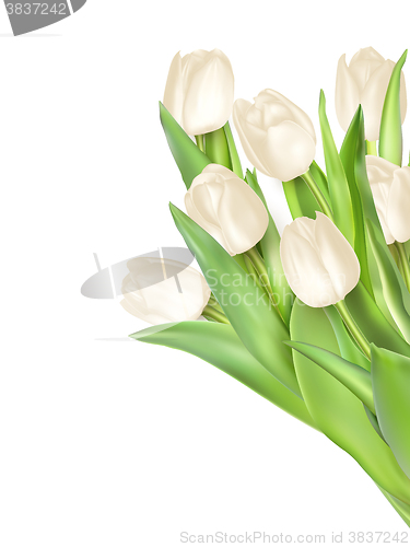 Image of Tulips decorative background. EPS 10