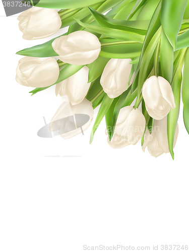 Image of Tulips decorative background. EPS 10