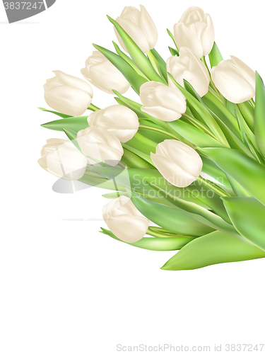 Image of Tulips decorative background. EPS 10