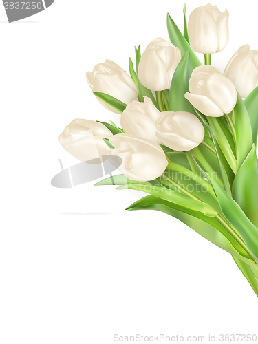 Image of Isolated tulip frame. EPS 10