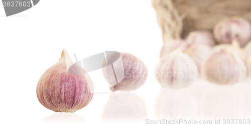 Image of Raw garlic (small) isolated