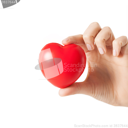 Image of female hands with small red heart