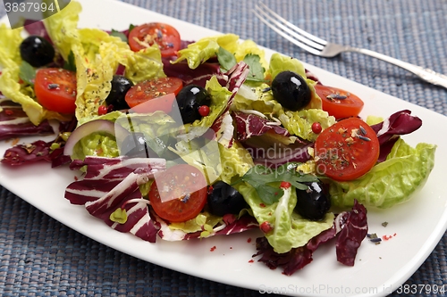 Image of Salad with radicchio.