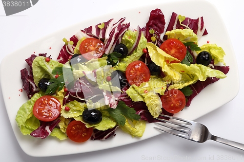 Image of Salad with radicchio.